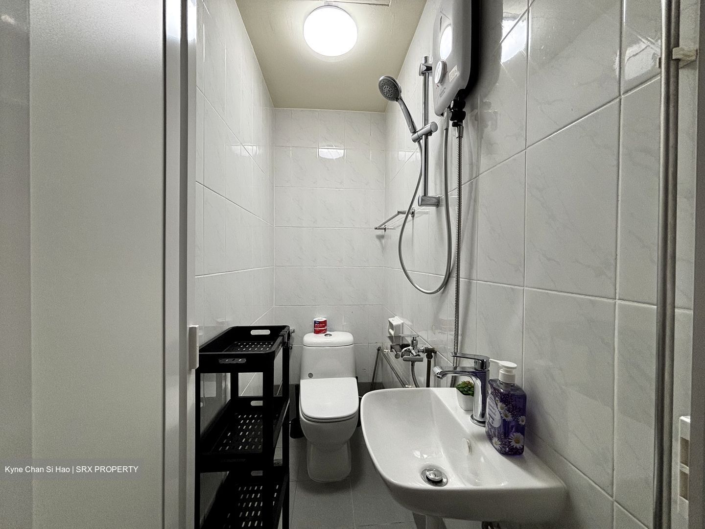 Parc Oasis (D22), Condominium #487069331